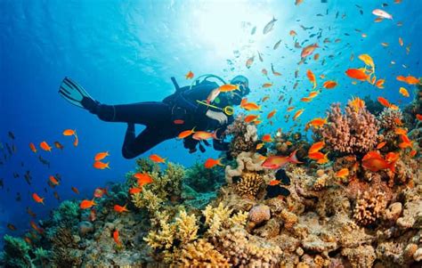 snorkeling cebu